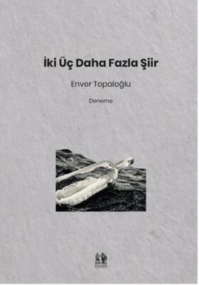 İki Üç Daha Fazla Şiir - 1