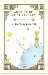 Il Piccolo Principe - Paper Books