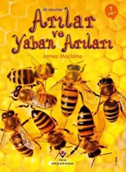 İlk Okuma - Arılar ve Yaban Arıları - TÜBİTAK Yayınları