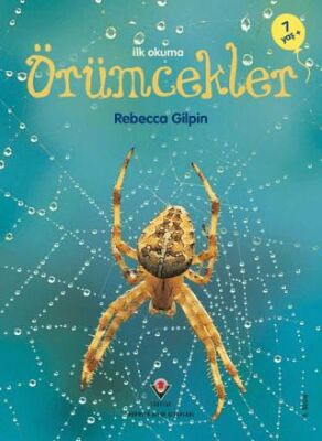 İlk Okuma Örümcekler kapağı