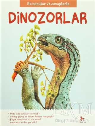 İlk Sorular ve Cevaplarla: Dinozorlar - Almidilli