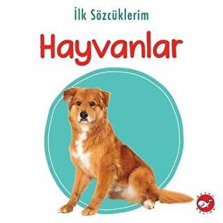 İlk Sözcüklerim - Hayvanlar - Beyaz Balina Yayınları