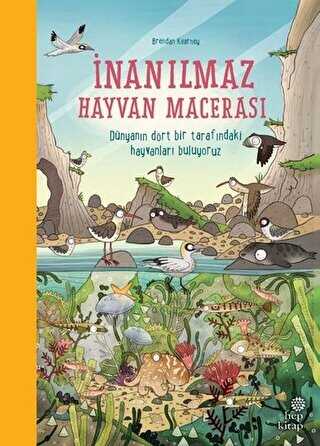 İnanılmaz Hayvan Macerası - Hep Kitap