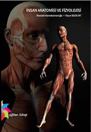 İnsan Anatomisi ve Fizyolojisi