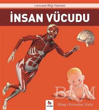 İnsan Vücudu - Almidilli