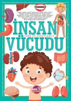 İnsan Vücudu - 1