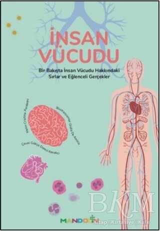 İnsan Vücudu - Mandolin Yayınları