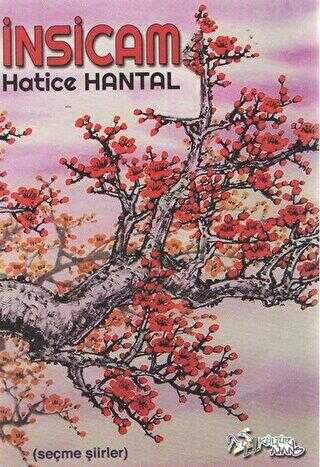 İnsicam - Kültür Ajans Yayınları