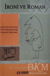 İroni ve Roman - Efe Akademi Yayınları