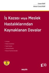 İş Kazası veya Meslek Hastalıklarından Kaynaklanan Davalar - Seçkin Yayıncılık