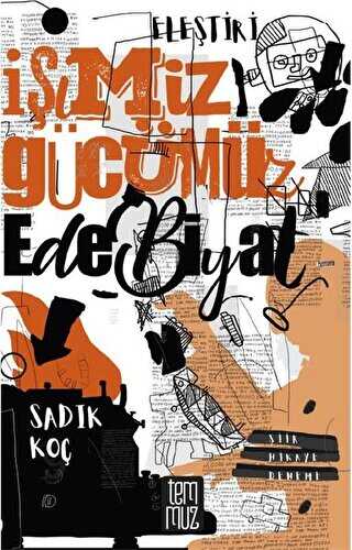 İşimiz Gücümüz Edebiyat - Eleştirel Denemeler - Temmuz Yayınları