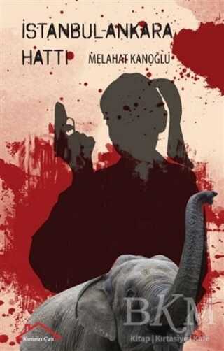 İstanbul - Ankara Hattı - Kırmızı Çatı Yayınları