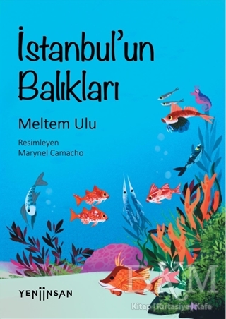 İstanbul’un Balıkları - 1