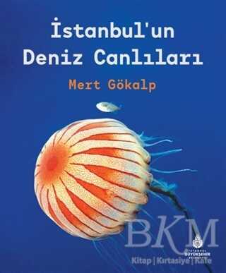 İstanbul`un Deniz Canlıları - İBB Yayınları
