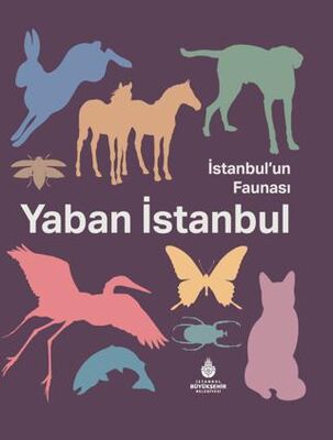 İstanbul`un Faunası Yaban İstanbul