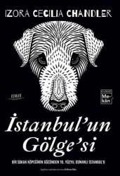 İstanbul`un Gölgesi - Everest Yayınları