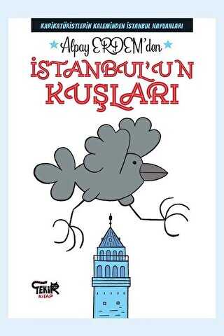 İstanbul`un Kuşları - Tekir Kitap