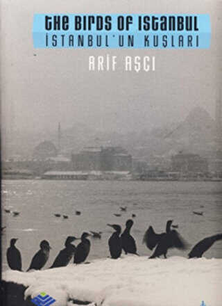 İstanbul’un Kuşları - The Birds ofm Istanbul