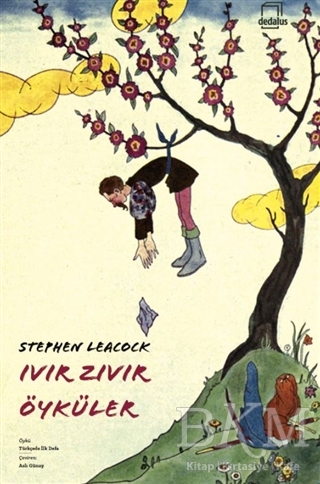 Ivır Zıvır Öyküler - Dedalus Kitap