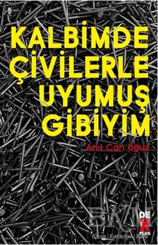 Kalbimde Çivilerle Uyumuş Gibiyim - Dex Yayınevi