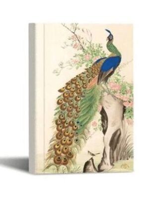 Kalipso Rigel 14x20 Cm Sert Kapak 192 Sayfa Çizgili - 1