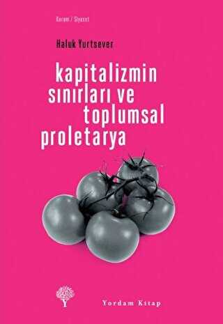 Kapitalizmin Sınırları ve Toplumsal Proletarya - Yordam Kitap