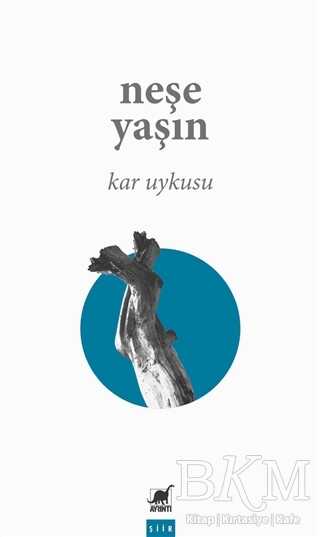 Kar Uykusu - Ayrıntı Yayınları