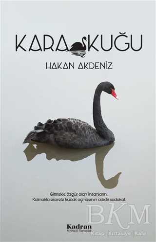 Kara Kuğu - 1