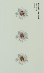 Karanfil Mesafesi - Avesta Yayınları