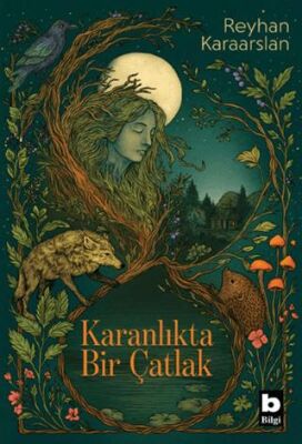 Karanlıkta Bir Çatlak - 1