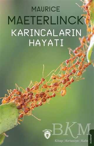 Karıncaların Hayatı - 1