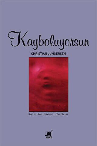 Kayboluyorsun - Ayrıntı Yayınları