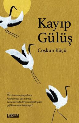 Kayıp Gülüş