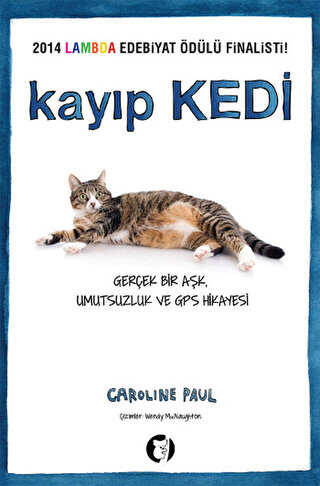 Kayıp Kedi - Aylak Kitap
