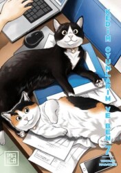 Kedim Oyunlarım ve Ben 7 - Athica Yayınları