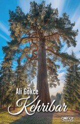 Kehribar - Gülnar Yayınları