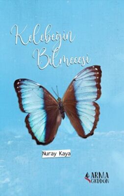 Kelebeğin Bilmecesi - 1
