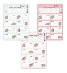 Keskin Color Pusheen Ders Programlı 3Lü Etiket - Keskin Color