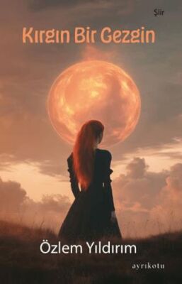 Kırgın Bir Gezgin - 1