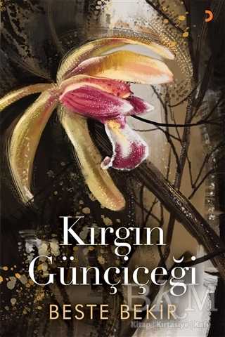 Kırgın Günçiçeği - Cinius Yayınları