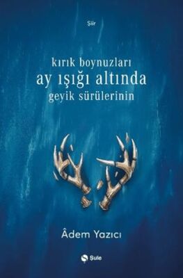 Kırık Boynuzları Ay Işığı Altında Geyik Sürülerinin - 1