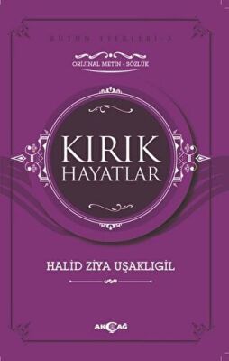 Kırık Hayatlar kapağı