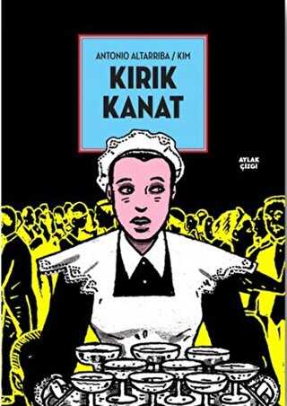 Kırık Kanat - Aylak Kitap