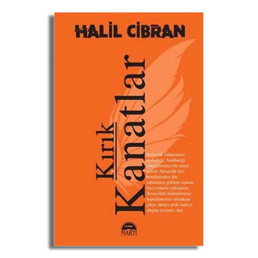 Kırık Kanatlar - 1