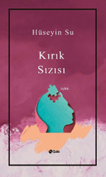 Kırık Sızısı - Şule Yayınları