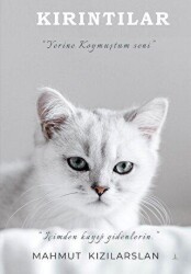 Kırıntılar - Odessa Yayınevi