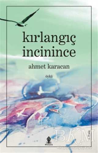 Kırlangıç İncinince - Roza Yayınevi