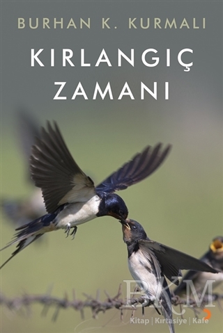 Kırlangıç Zamanı - Cinius Yayınları