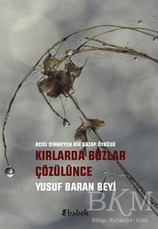 Kırlarda Buzlar Çözülünce - Babek Yayınları