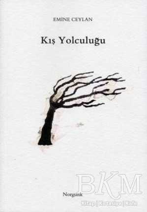 Kış Yolculuğu - Norgunk Yayıncılık